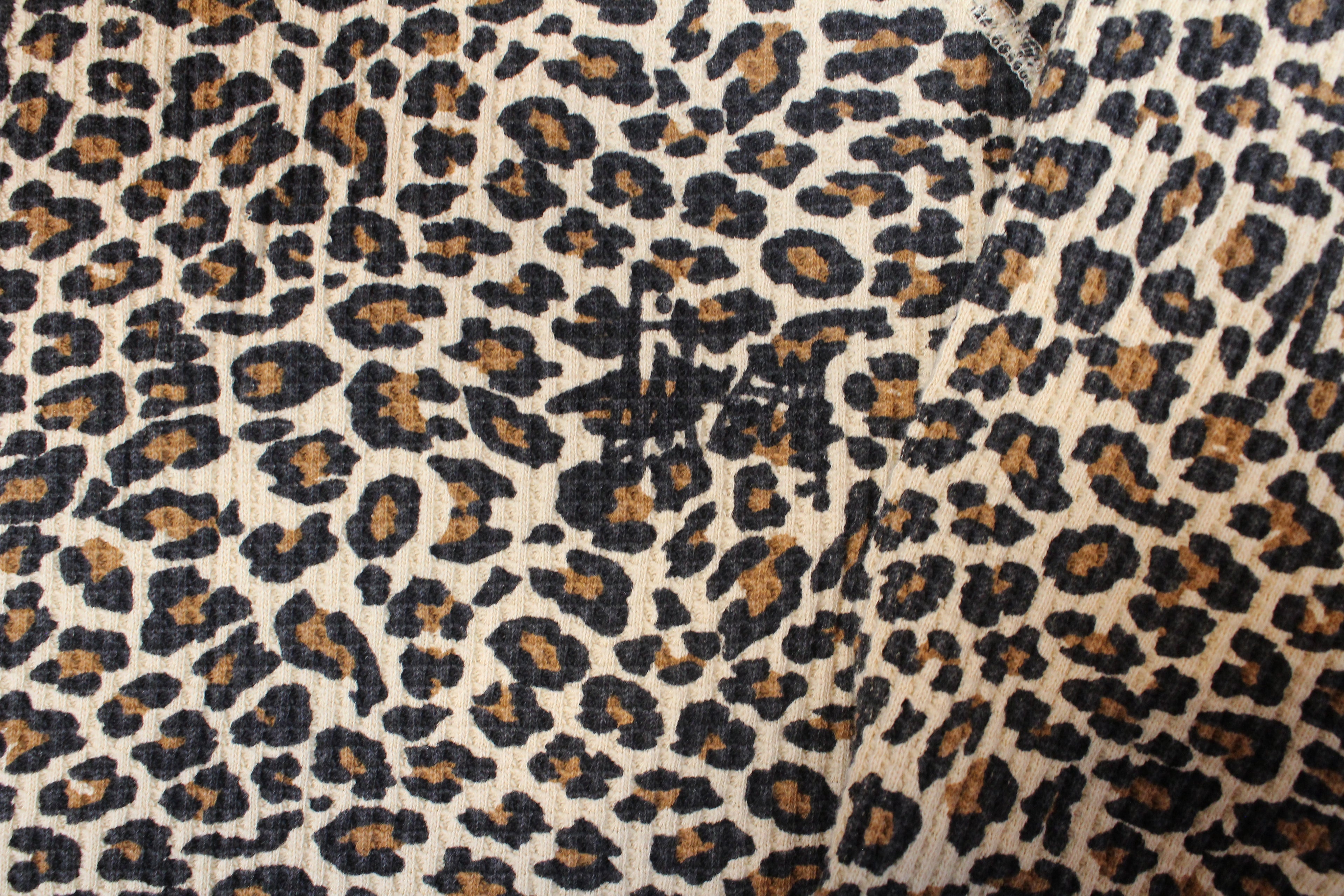 BASIC STÜSSY THERMAL Leopard