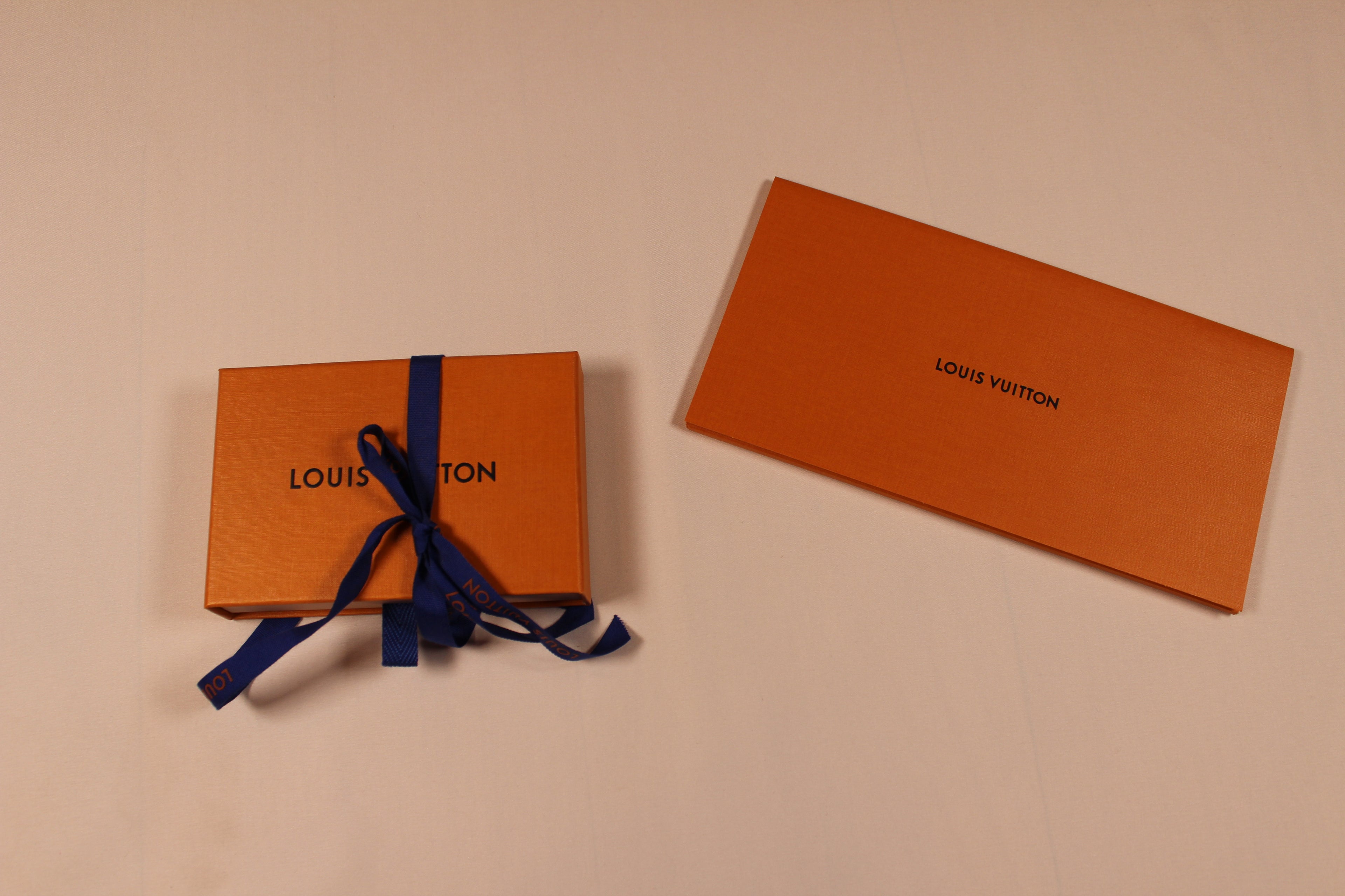 Louis Vuitton Pool Pocket Organizer Blue Lagoon