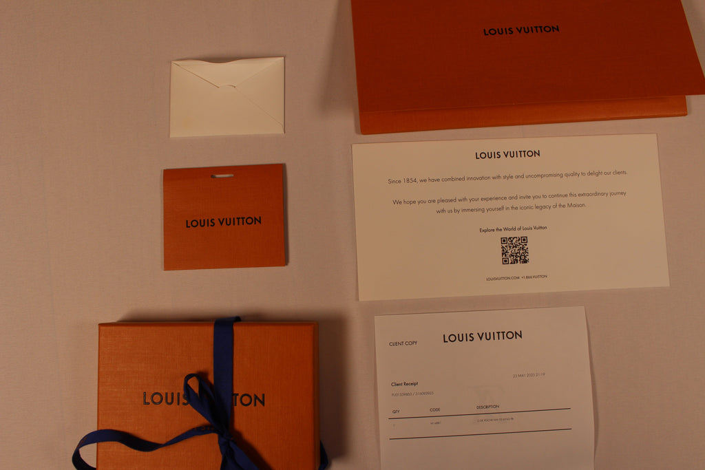 Louis Vuitton Pool Pocket Organizer Blue Lagoon